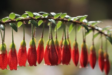 惠州惠城区2私人快速借钱网，轻松解决资金难题
