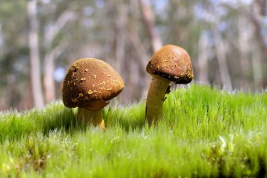 惠州惠城区2私人老板放款：轻松融资的秘密通道